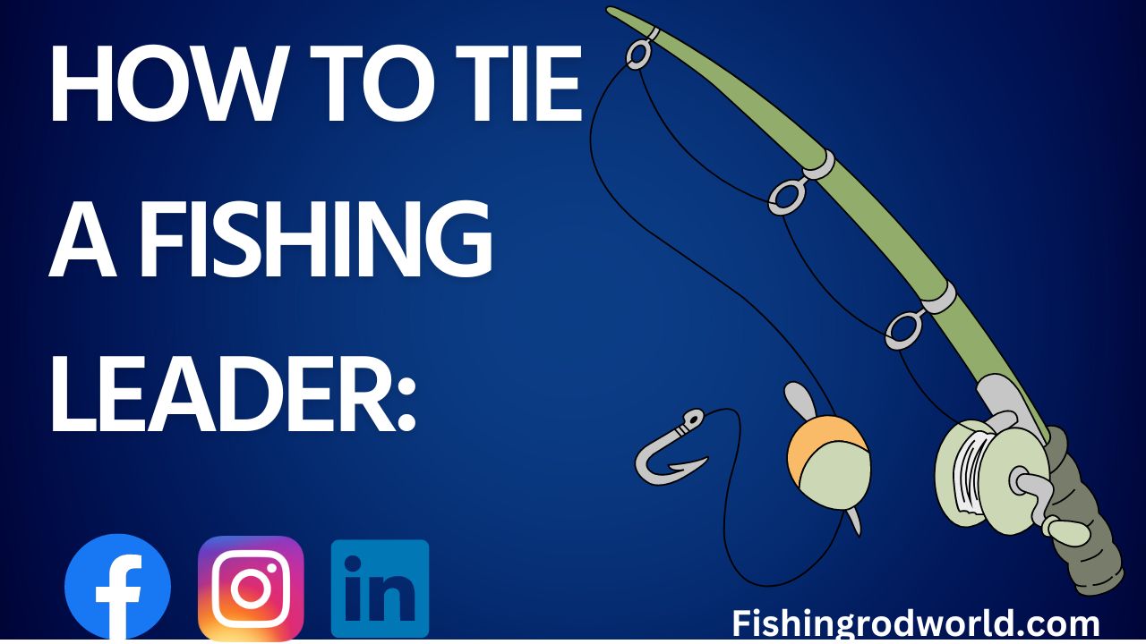 What is Leader Fishing? Everything You Need to Know - Fishing Rod